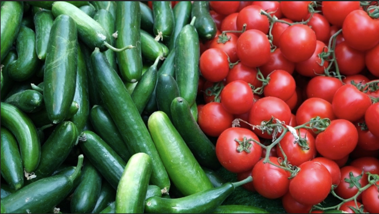 Halk salatalık ve domatesin kilosunu 1 liradan alıyor