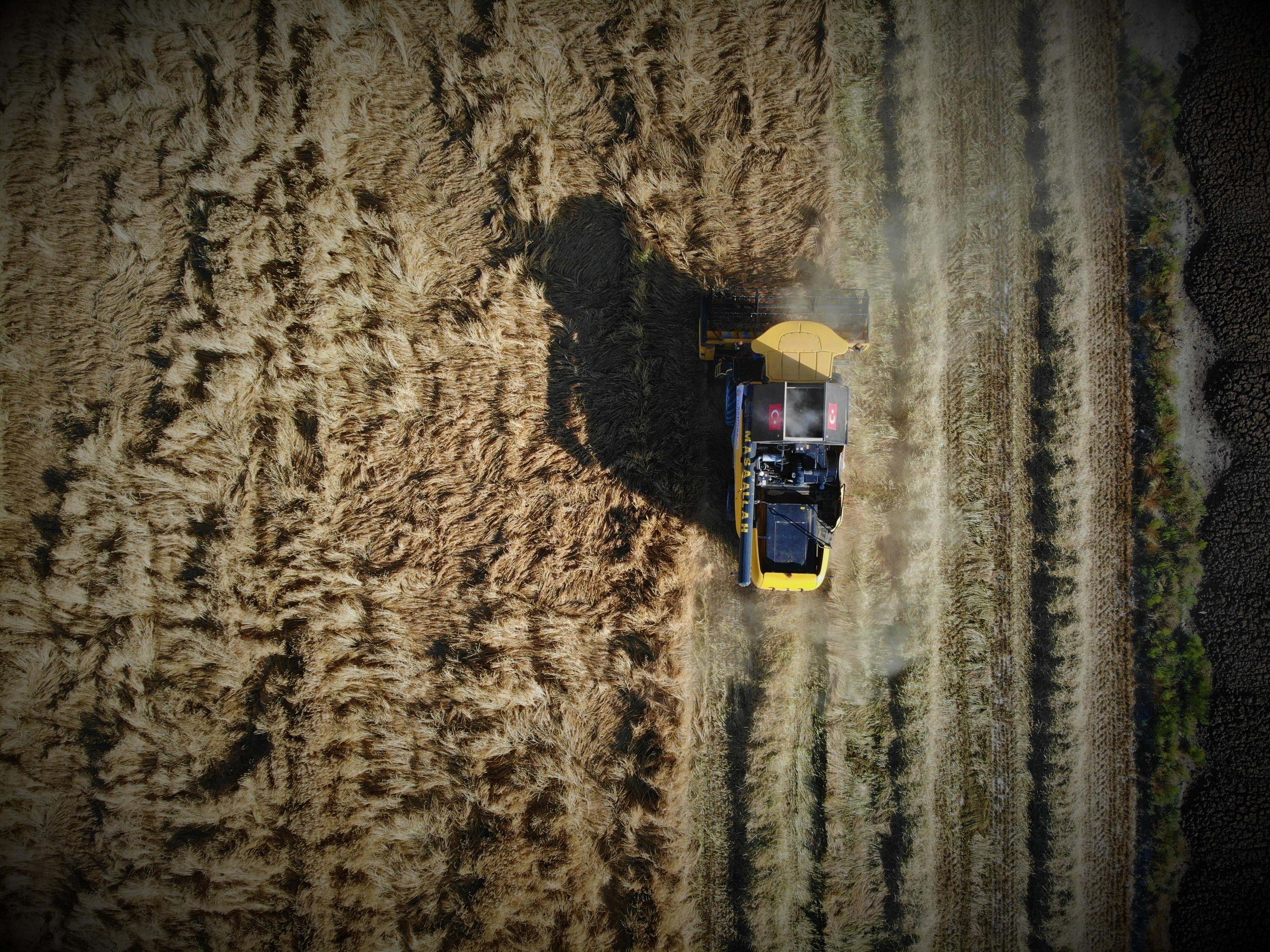 Konya Ovası kuraklık ile karşı karşıya