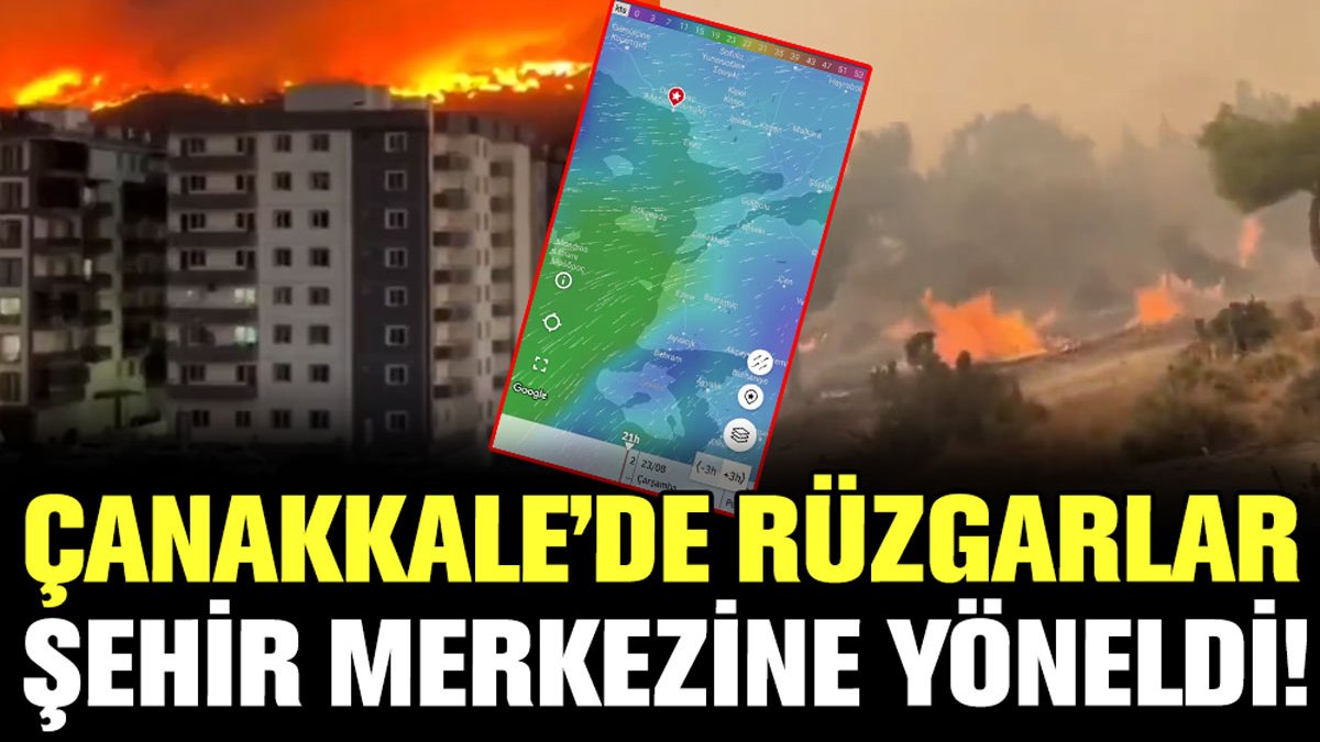 Çanakkale'de yangının şiddetini artıran detay: Rüzgar, şehir merkezine doğru esiyor