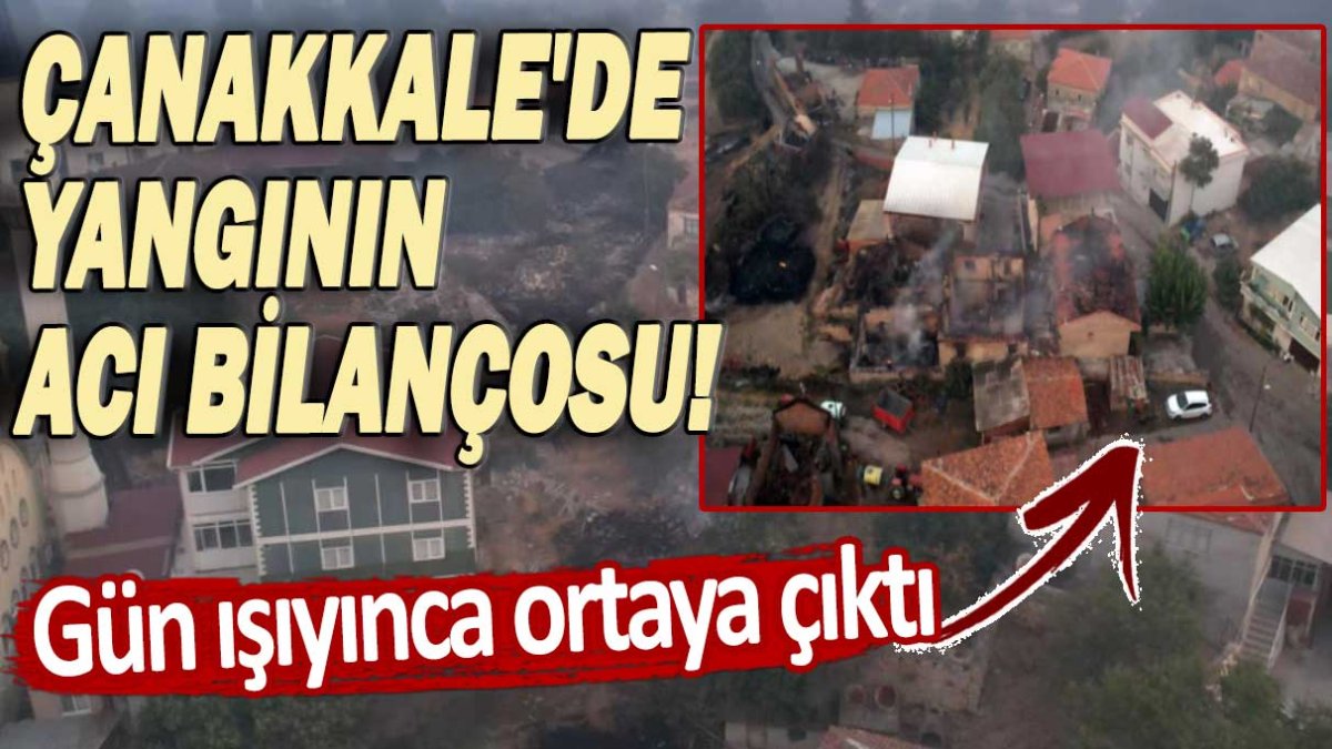 Çanakkale'de yangının acı bilançosu! Gün ışıyınca ortaya çıktı