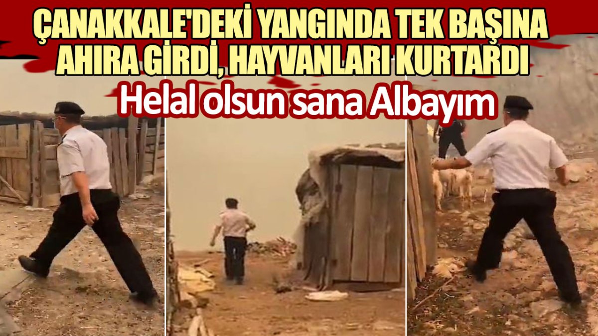 Helal olsun sana Albayım! Çanakkale'deki yangında tek başına ahıra girdi, hayvanları kurtardı