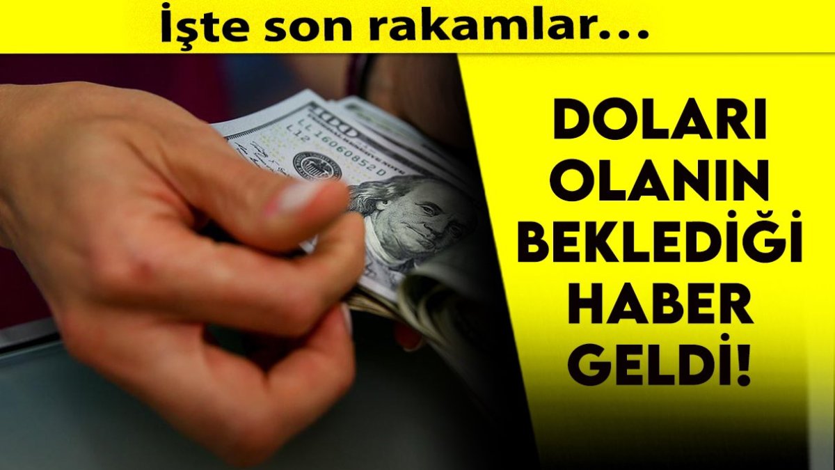 Doları olanların beklediği haber geldi! İşte son rakamlar