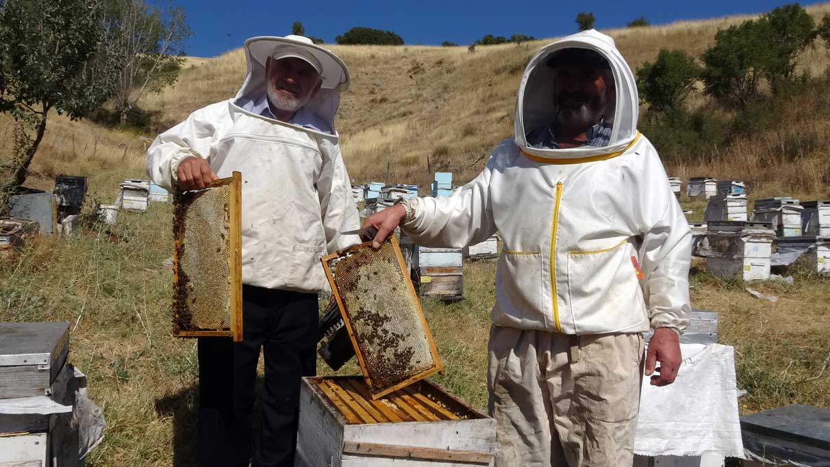 Yozgat’ta ‘tatlı’ telaş bir ay geç başladı