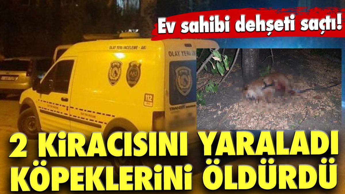 Ev sahibi dehşeti saçtı! 2 kiracısını yaraladı, köpeklerini öldürdü