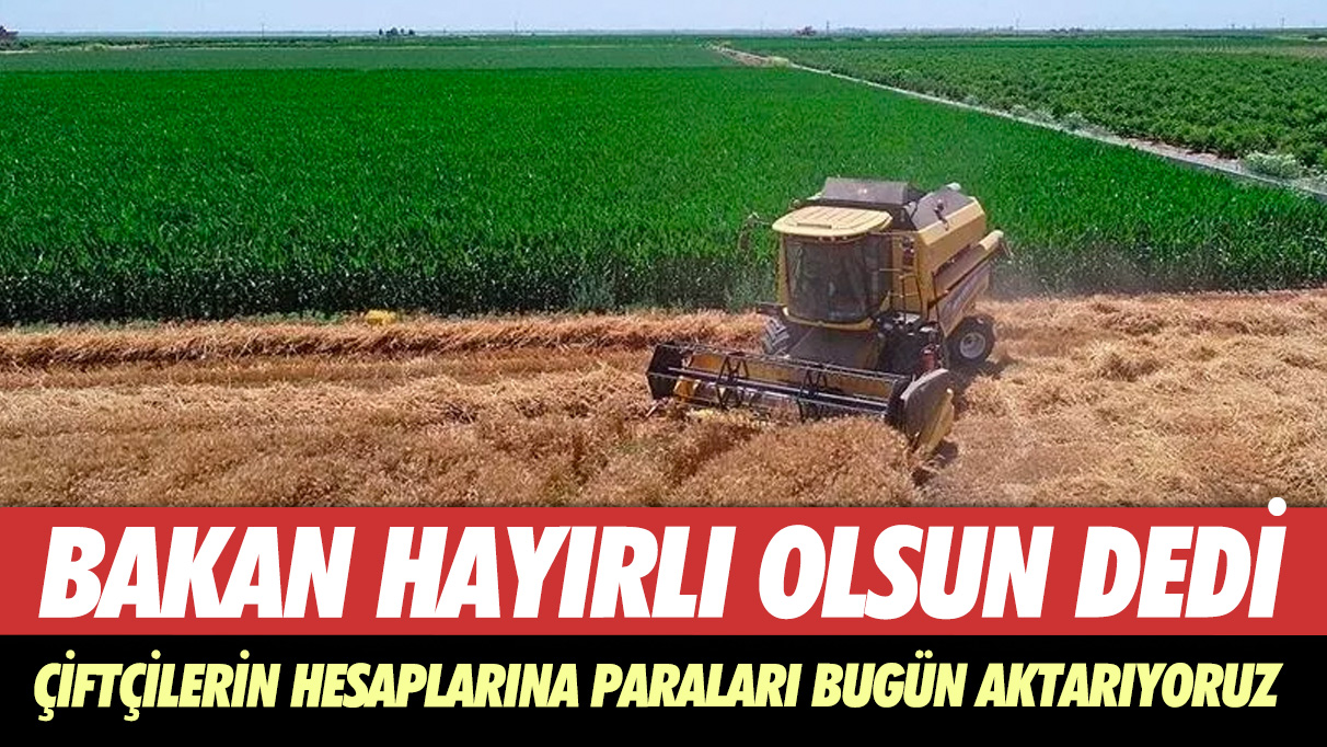 Bakan hayırlı olsun dedi: Çiftçilerin hesaplarına paraları bugün aktarıyoruz