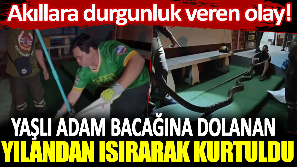 Akıllara durgunluk veren olay: Yaşlı adam bacağına dolanın yılandan ısırarak kurtuldu