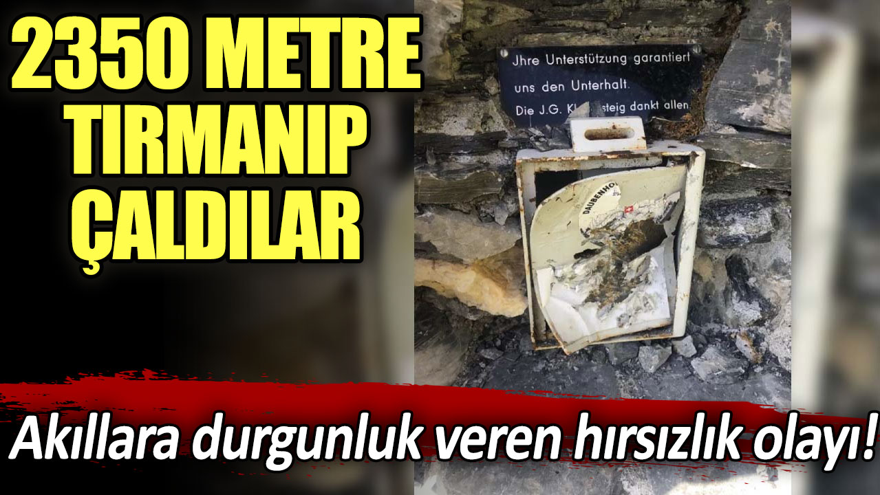 Akıllara durgunluk veren hırsızlık olayı: 2350 metre tırmanıp çaldılar