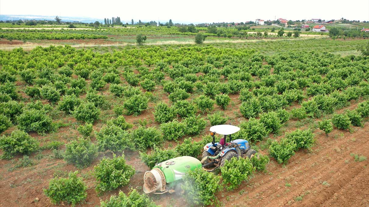 Topraklarını tanıyıp daha çok kazandılar