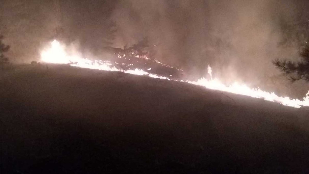 Muğla Köyceğiz'de orman yangını çıktı!