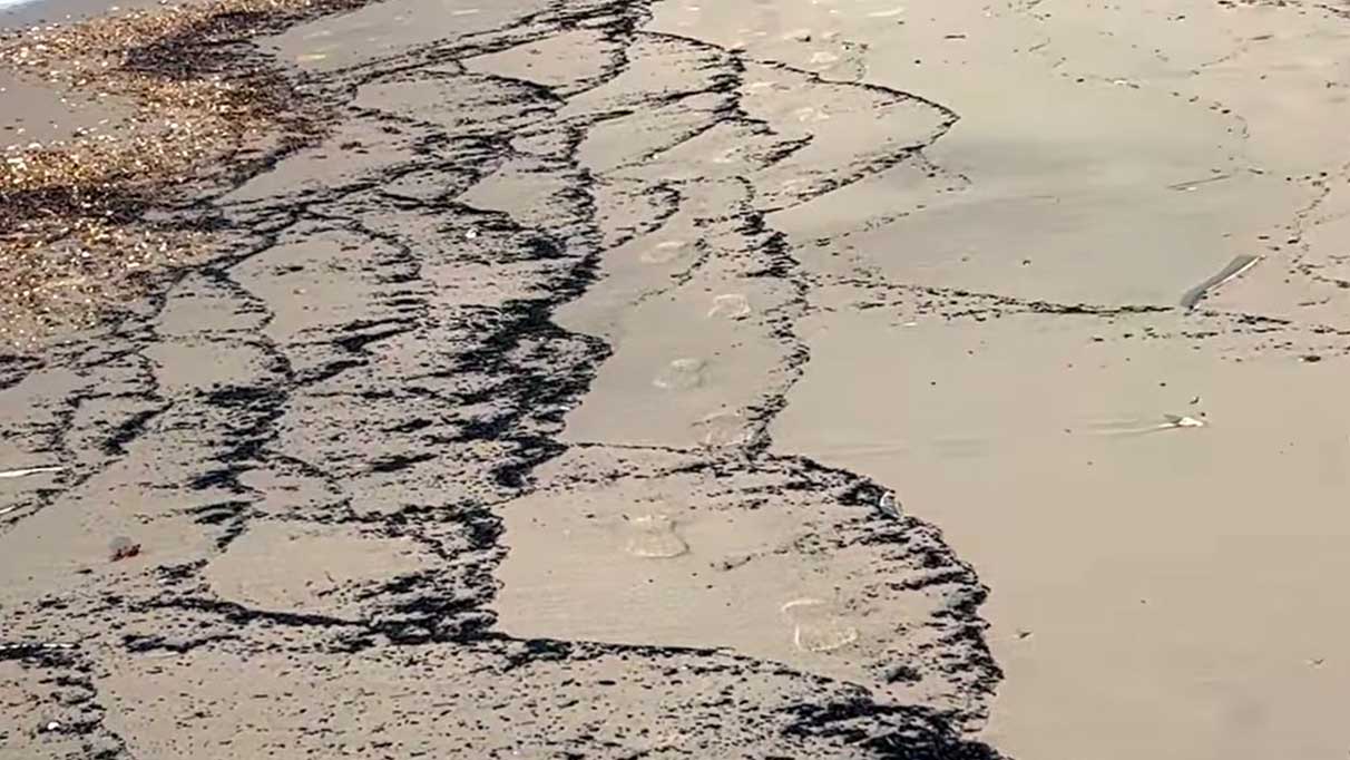 Çanakkale yangınının izleri, Edirne kıyılarında