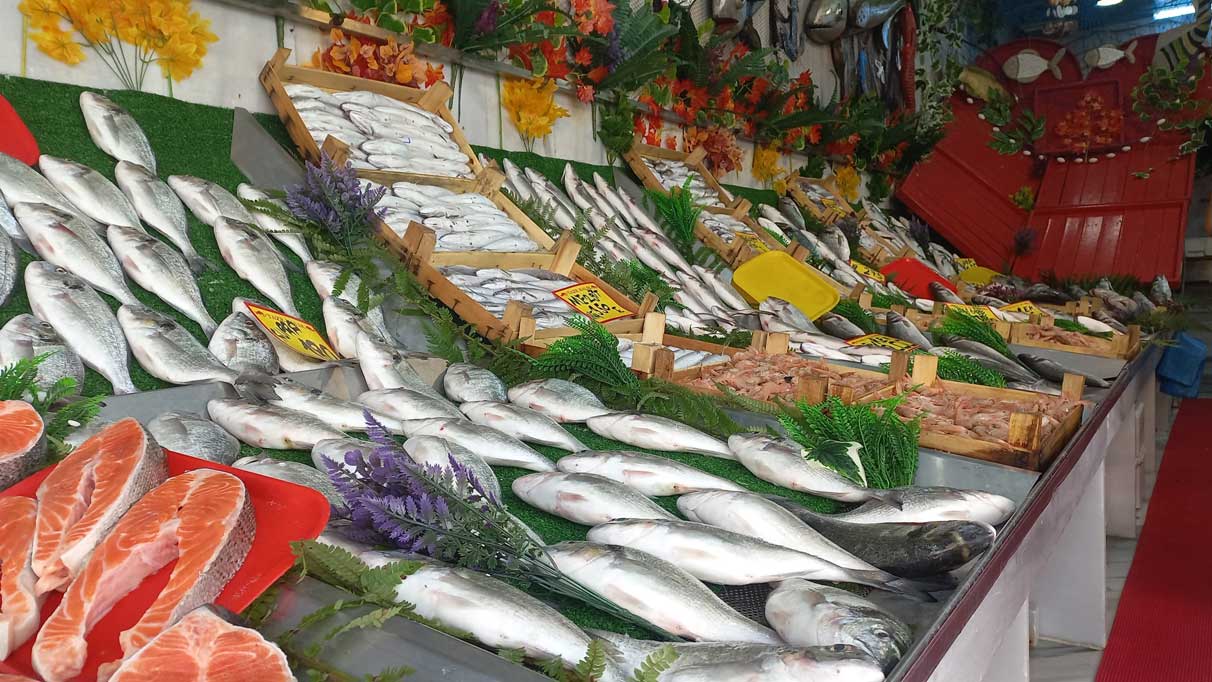 Yeni sezonda hamsi ve istavrit bolluğu görülebilir