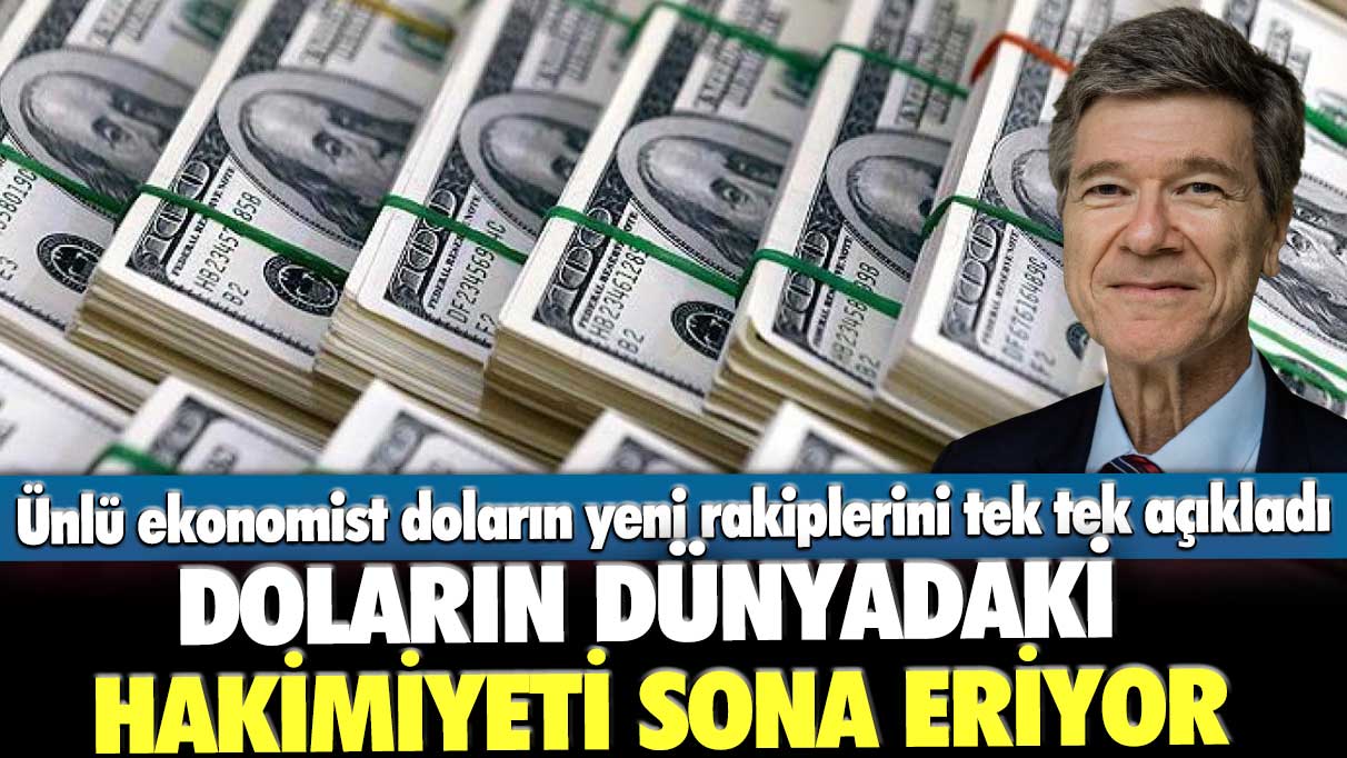 Doların dünyadaki hakimiyeti sona eriyor: Ünlü ekonomist doların yeni rakiplerini tek tek açıkladı