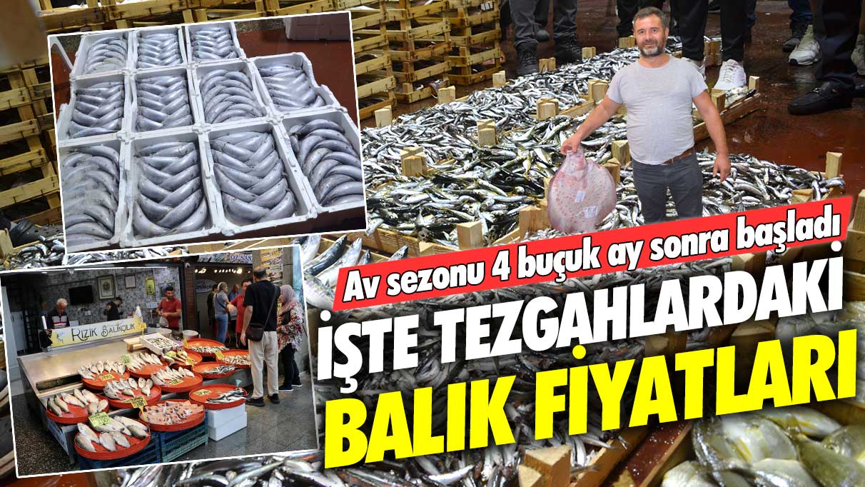 İşte tezgahlardaki balık fiyatları: Av sezonu 4 buçuk ay sonra başladı