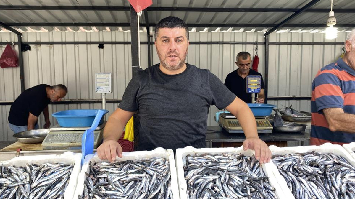 Tezgahlar hamsiyle doldu: Kilo fiyatı ortaya çıktı