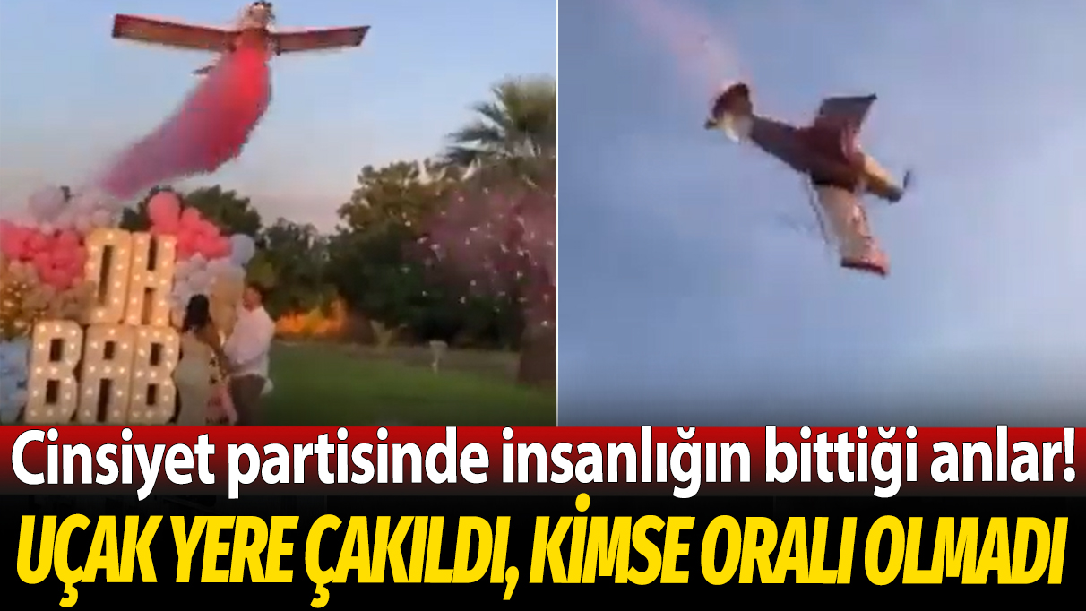 Uçak yere çakıldı kimse oralı olmadı: Cinsiyet partisinde insanlığın bittiği anlar!