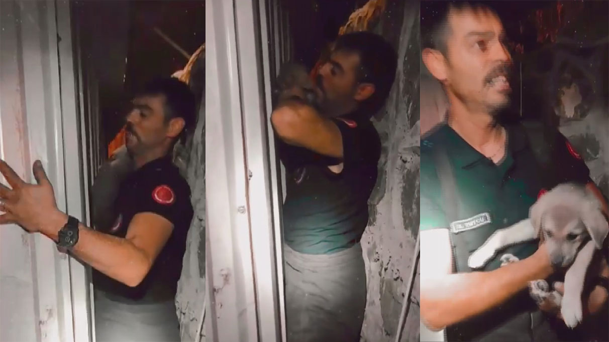 Duvar ile konteyner arasına sıkışan yavru köpeği itfaiye ekipleri kurtardı