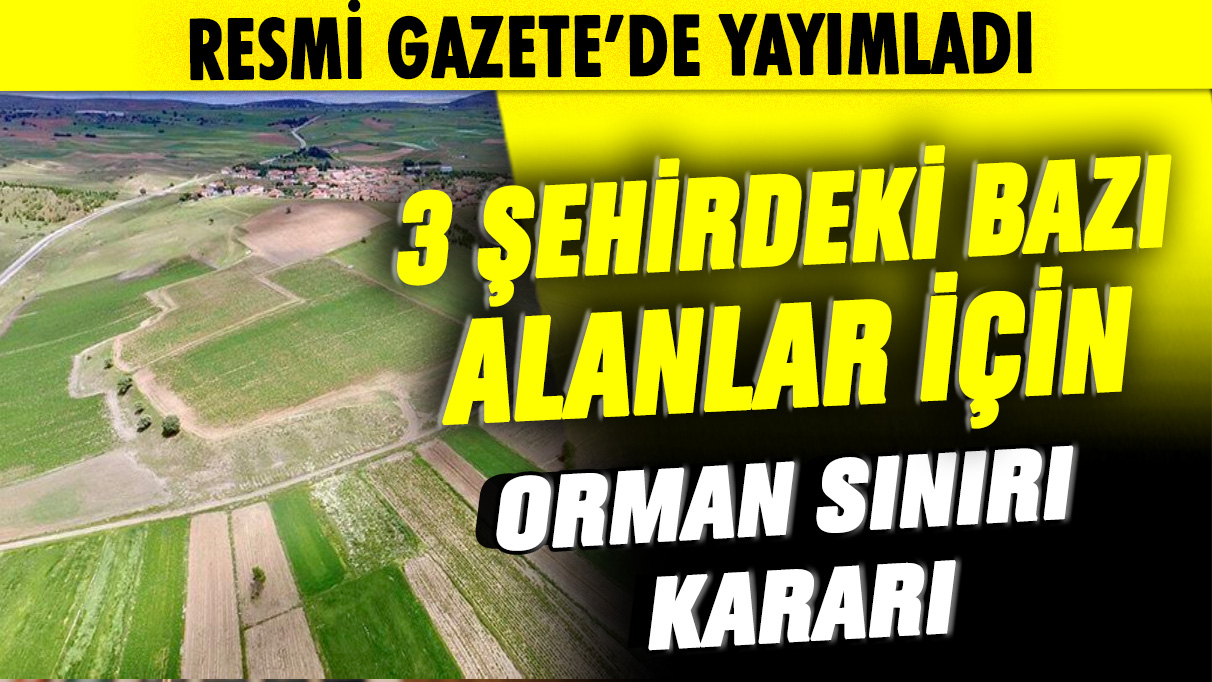 3 şehirdeki bazı alanlar için orman sınırı kararı: Resmi Gazete'de yayımlandı