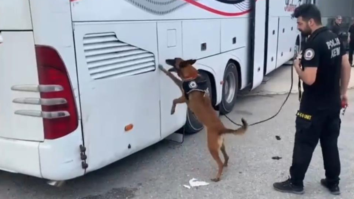 Kocaeli'de durdurulan otobüste eroin bulundu