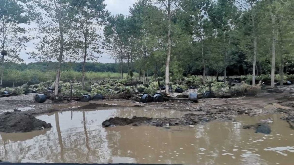 Kırklareli'ndeki selden acı haber: 4 kişiden birinin cansız bedenine ulaşıldı