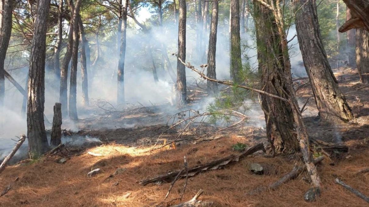 Kazdağları’nda yangın! Birden alevler yükseldi