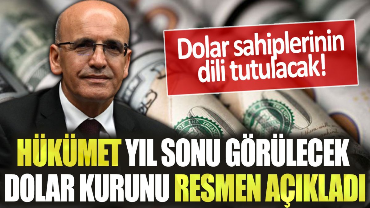 Dolar sahiplerinin dili tutuldu: Hükümet, yıl sonu görülecek rekor dolar kurunu resmen açıkladı!