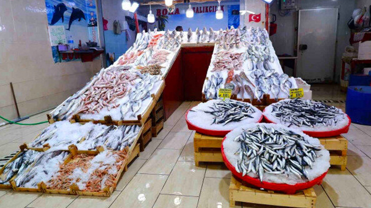 Av yasağı bitti, tezgahları hamsi ve sardalya süslüyor