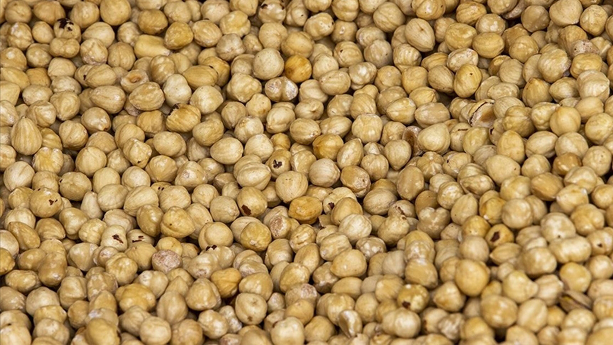 Ticaret borsalarında 621 bin tonun üzerinde fındık işlem gördü