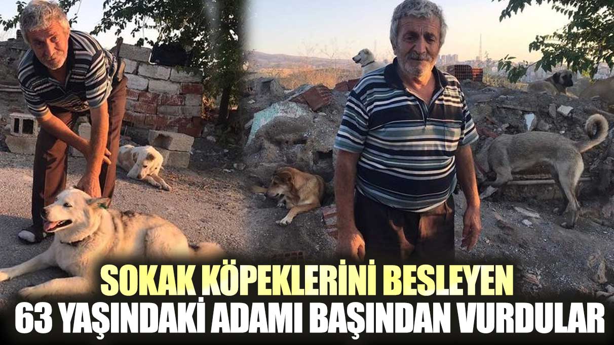 Sokak köpeklerini besleyen 63 yaşındaki adamı başından vurdular