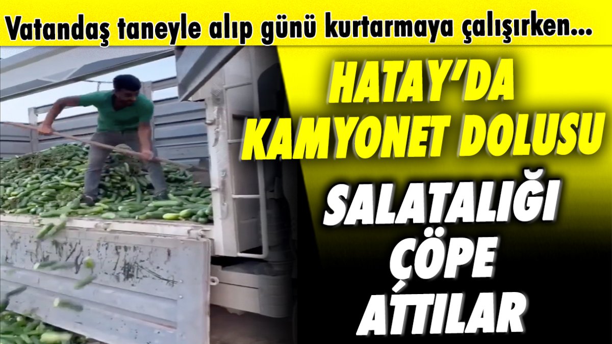 Hatay'da kamyonet dolusu salatalığı çöpe attılar