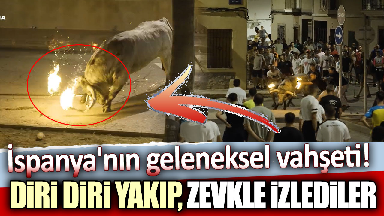 İspanya'nın geleneksel vahşeti! Diri diri yaktılar, zevkle izlediler