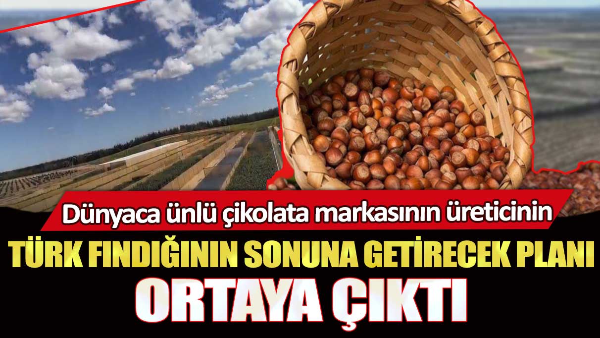 Dünyaca ünlü çikolata markasının üreticisinin Türk fındığının sonuna getirecek planı ortaya çıktı