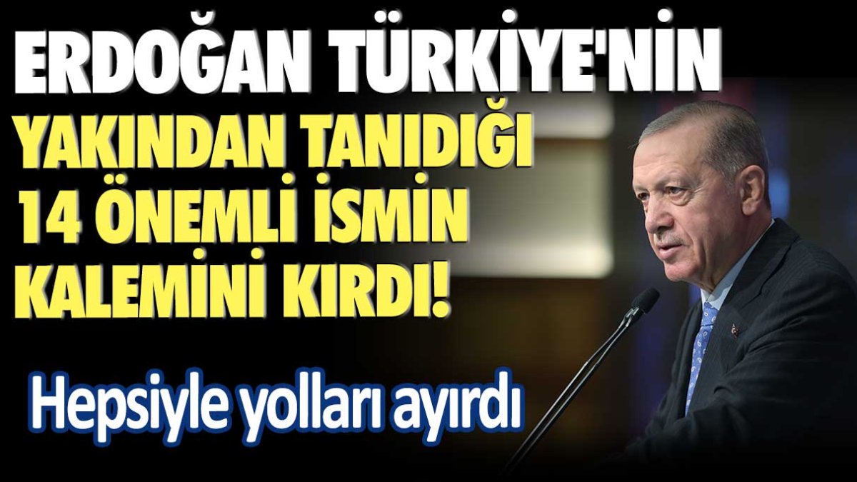 Erdoğan Türkiye'nin yakından tanıdığı 14 önemli ismin kalemini kırdı: Hepsiyle yolları ayırdı