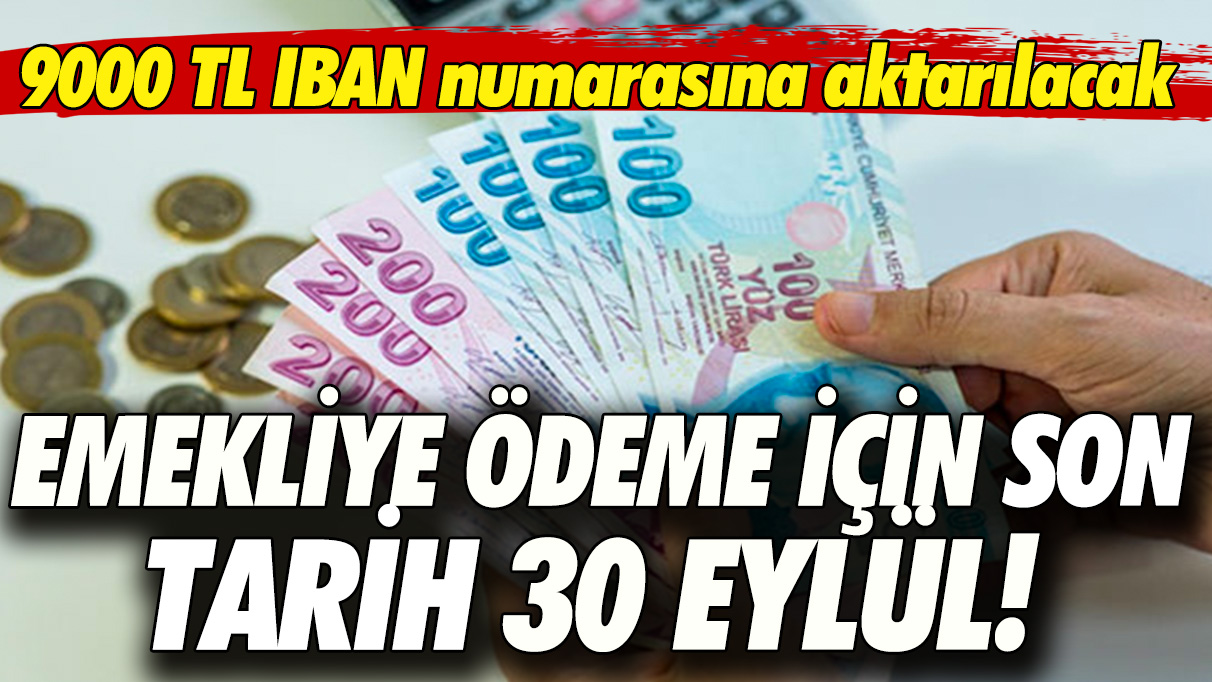 Emekliye ödeme için son tarih 30 Eylül! 9000 TL IBAN numarasına aktarılacak