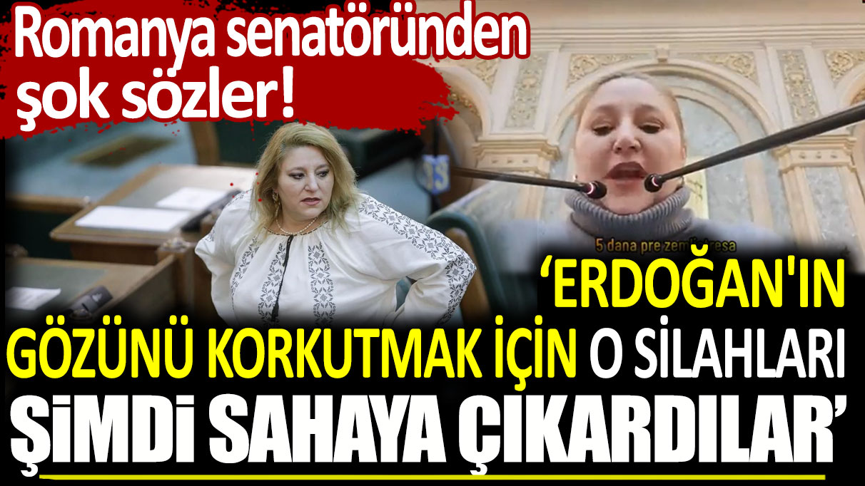 Romanya senatöründen şok sözler: Erdoğan'ın gözünü korkutmak için o silahları şimdi sahaya çıkardılar