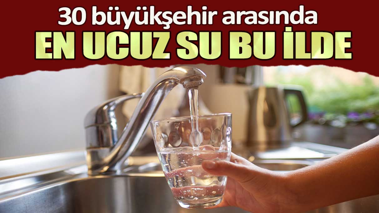 30 büyükşehir arasında en ucuz su bu ilde