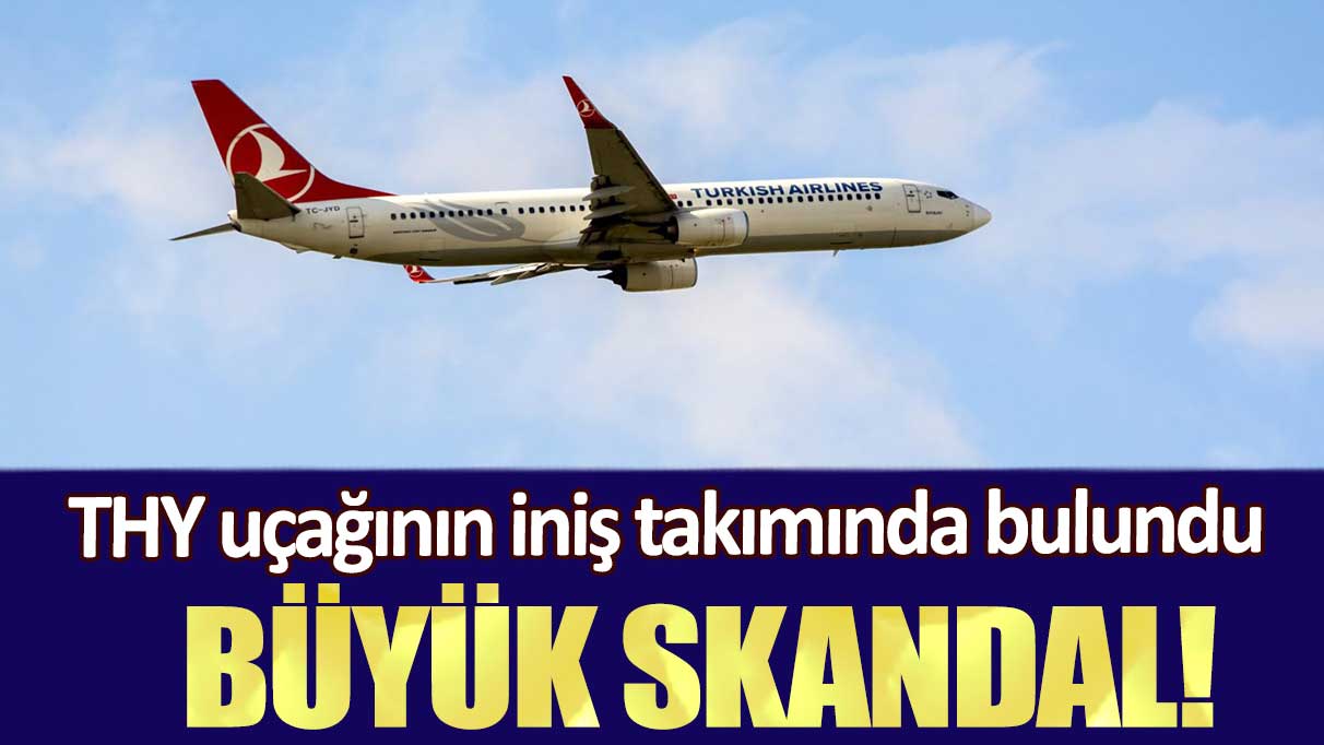 THY uçağının iniş takımında bulundu: Büyük skandal!