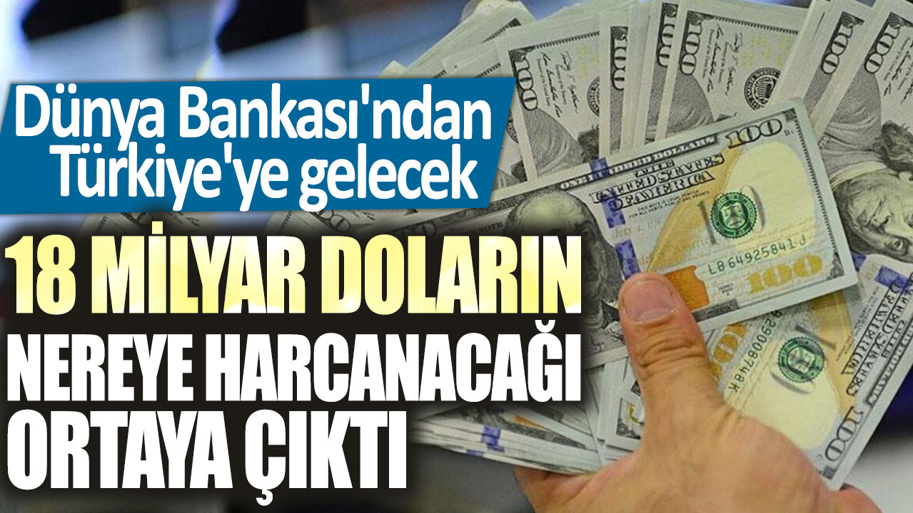 Dünya Bankası'ndan Türkiye'ye gelecek 18 milyar doların nereye harcanacağı ortaya çıktı