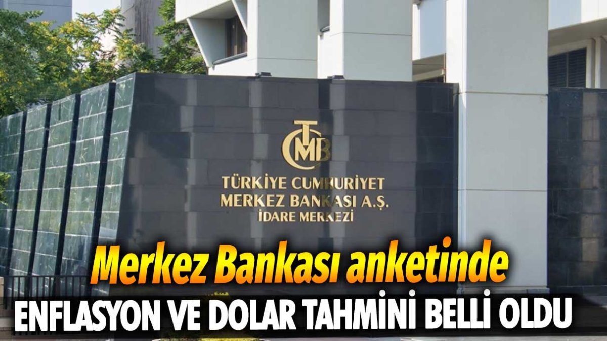 Merkez Bankası anketinde enflasyon ve dolar tahmini beli oldu