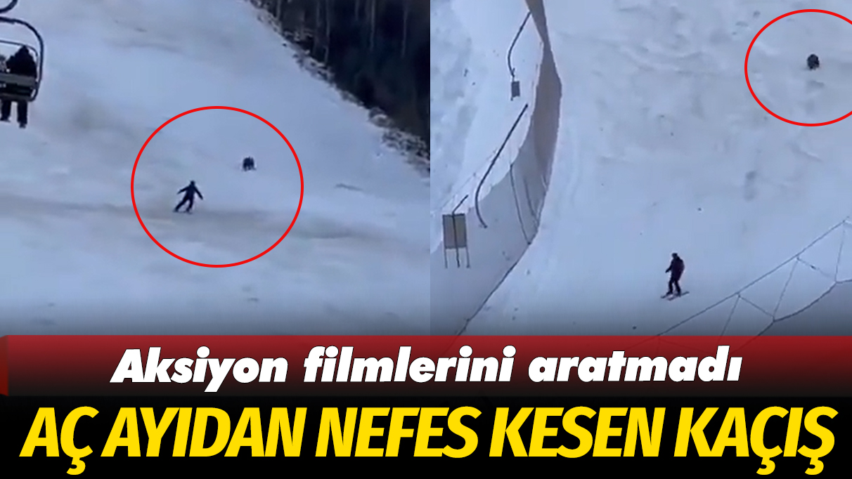 Aç ayıdan nefes kesen kaçış: Aksiyon filmlerini aratmadı