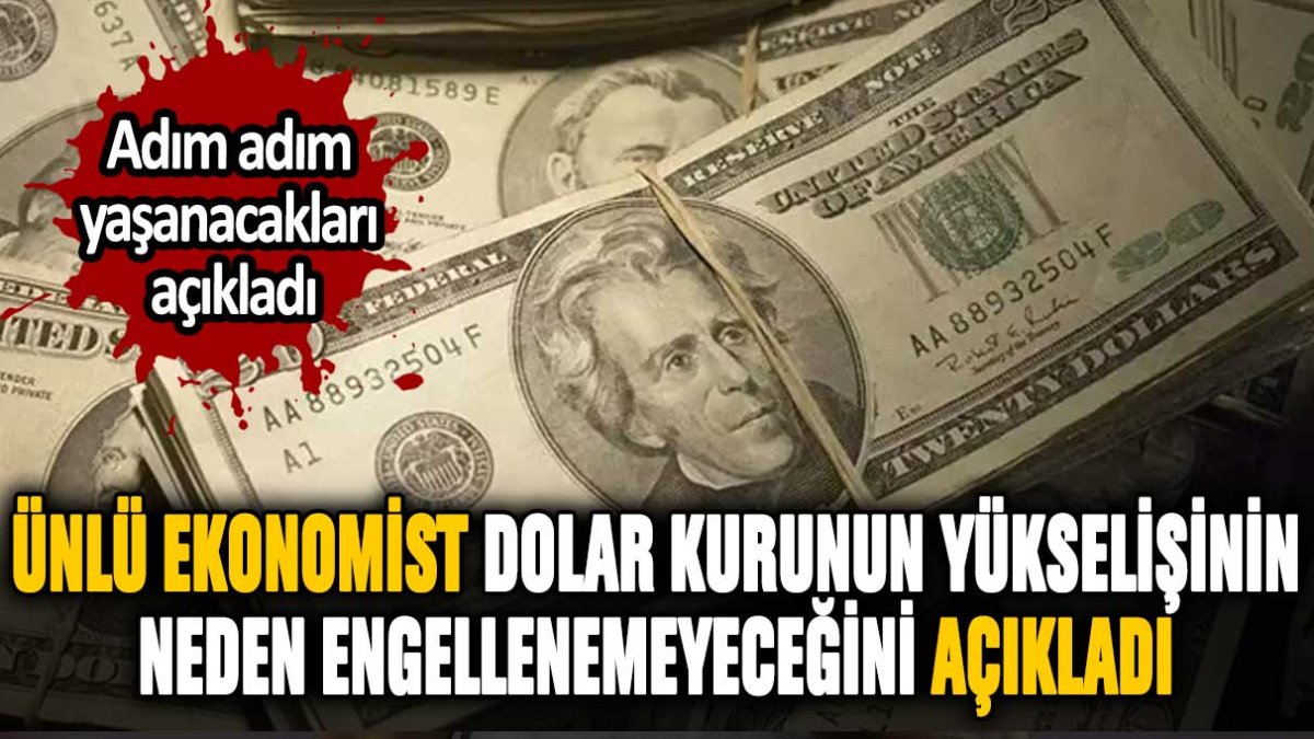 Ünlü ekonomi yazarı dolar kurunun yükselişinin neden engellenemeyeceğini yazdı