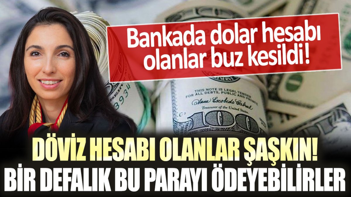 Bankada döviz hesabı olanların dizlerinin bağı çözüldü: "Bir defaya mahsus bu parayı ödeyebilirler!"