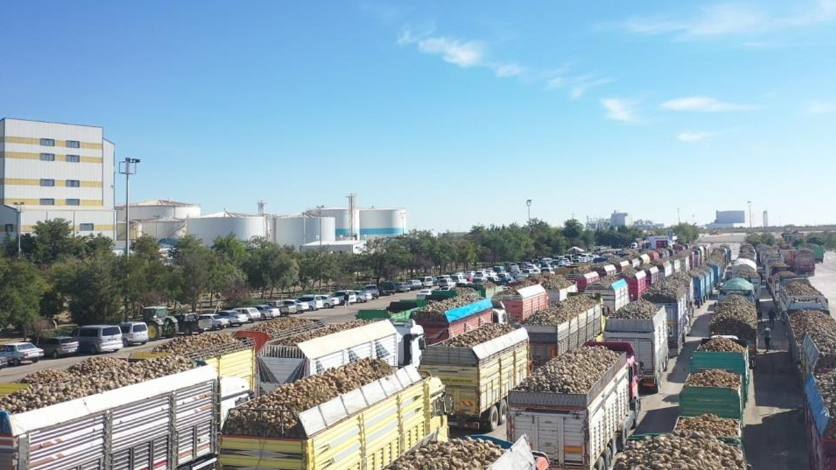 Çumra Şeker Fabrikası'nda şeker alım kampanyası başladı