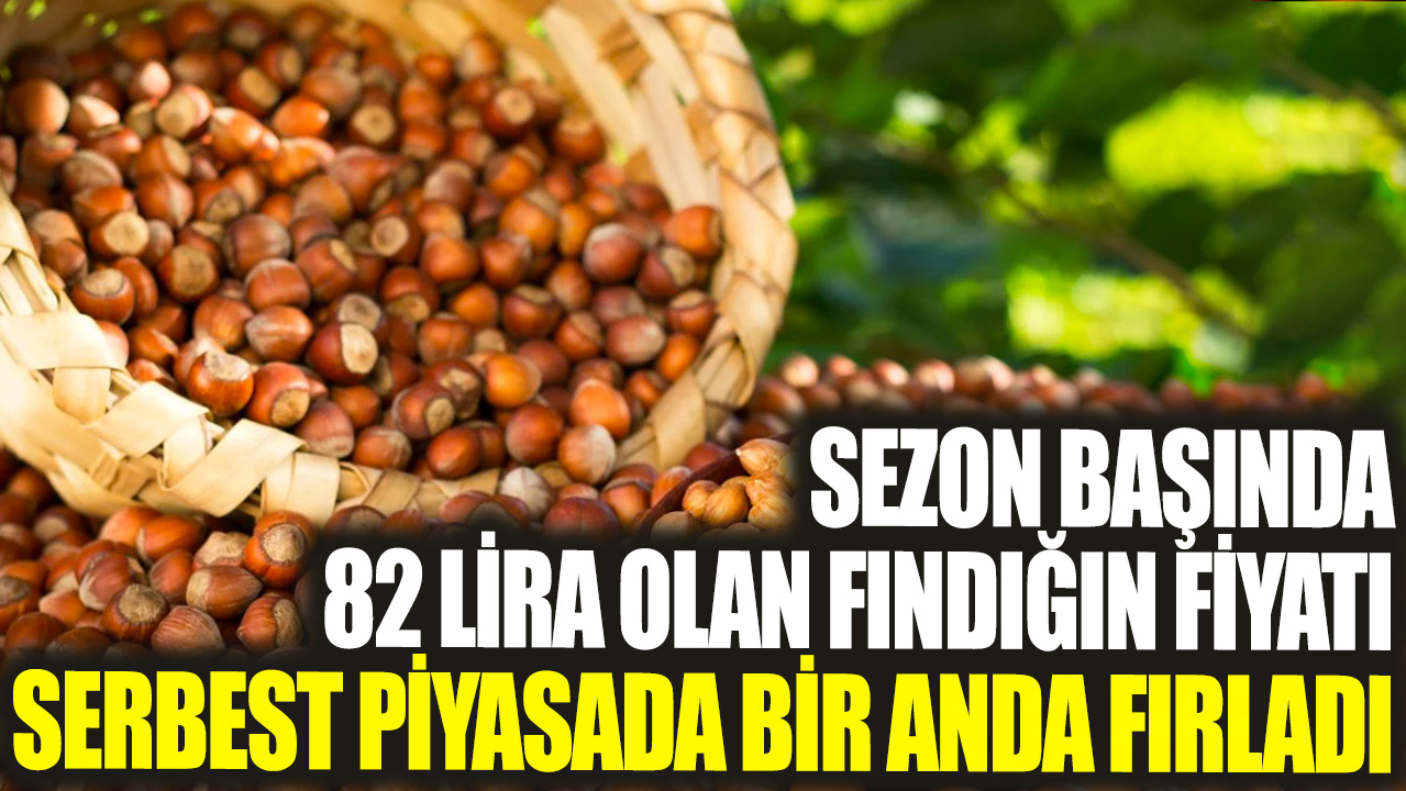 Sezon başında 82 lira olan fındığın fiyatı serbest piyasada bir anda fırladı