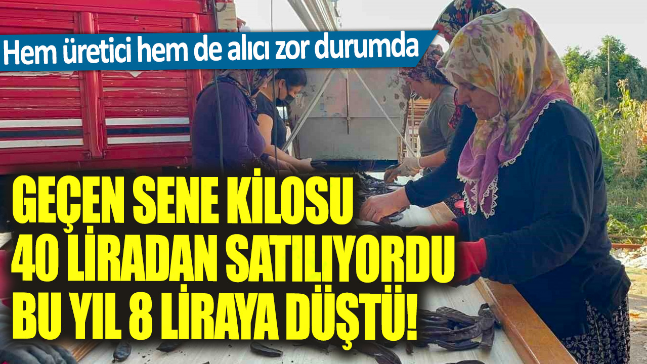 Geçen sene kilosu 40 liradan satılıyordu bu yıl 8 liraya düştü! Hem üretici hem de alıcı zor durumda