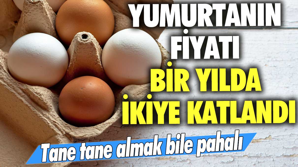 Tane tane almak bile pahalı! Yumurtanın fiyatı bir yılda ikiye katlandı