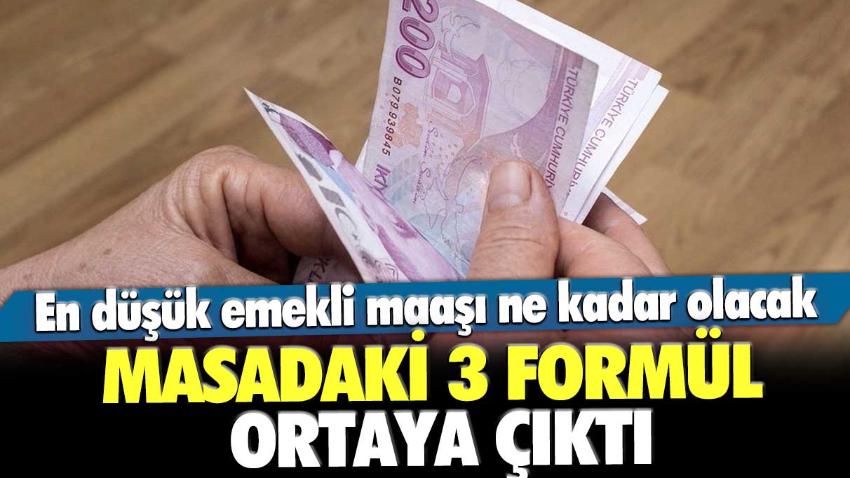 En düşük emekli maaşı ne kadar olacak? Masadaki 3 formül ortaya çıktı