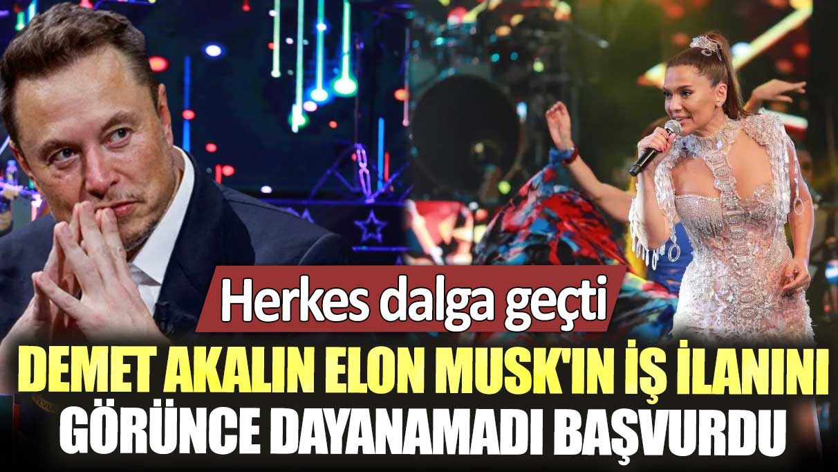 Demet Akalın Elon Musk'ın iş ilanını görünce dayanamadı başvurdu: Herkes dalga geçti