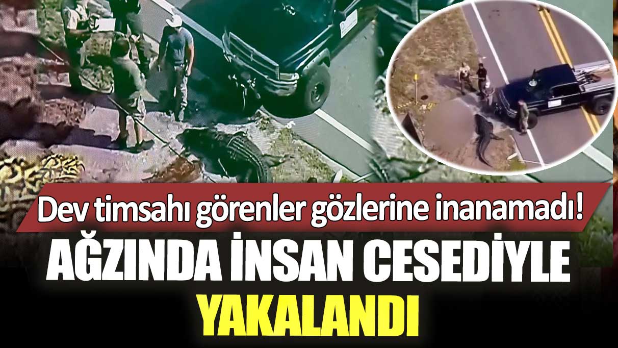 Dev timsahı görenler gözlerine inanamadı! Ağzında insan cesediyle yakalandı