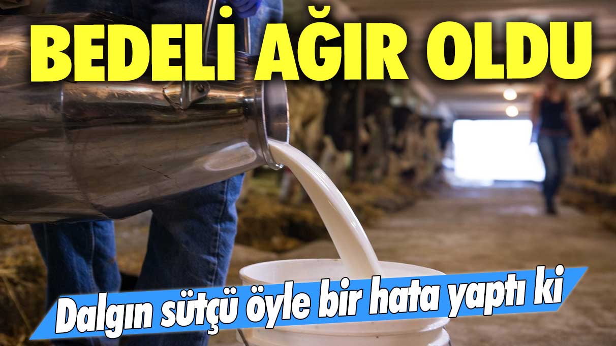 Dalgın sütçü öyle bir hata yaptı ki: Bedeli ağır oldu