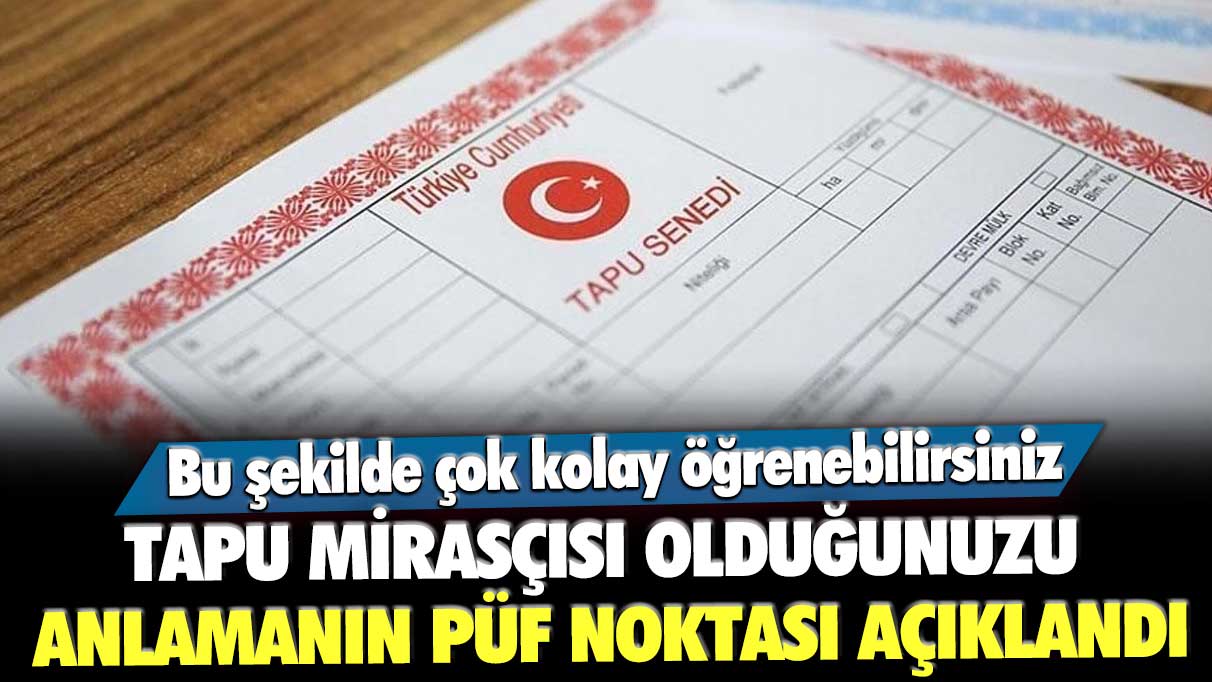 Tapu mirasçısı olduğunuzu anlamanın püf noktası açıklandı: Bu şekilde çok kolay öğrenebilirsiniz